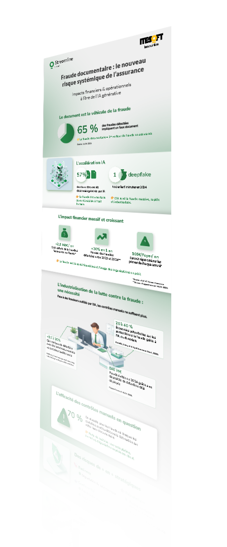 Mockup infographie fraud doc